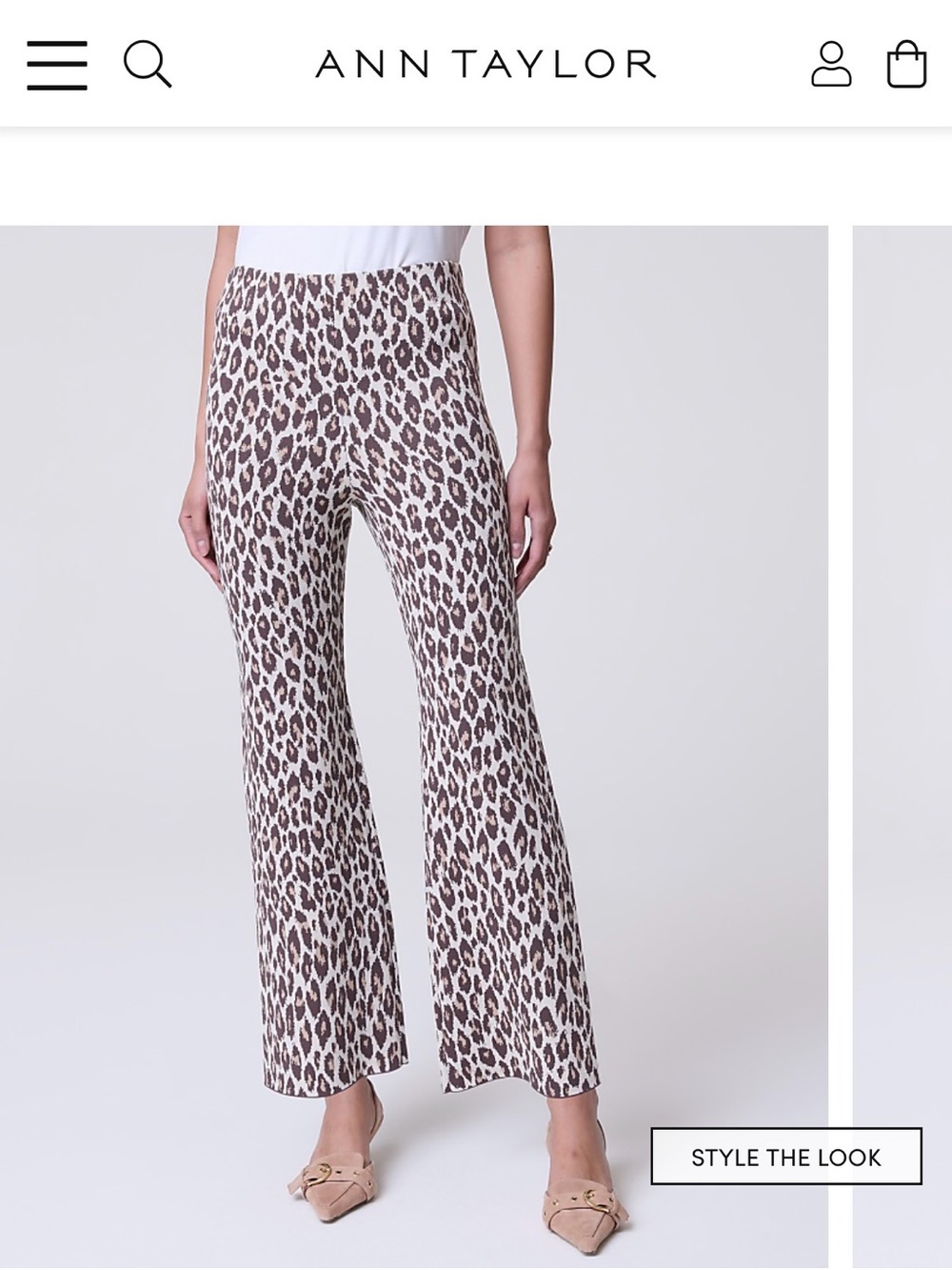 Ann Taylor Knit Leopard Print Wide Leg Pants
